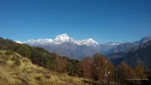 Easy poon hill trek 4 days package